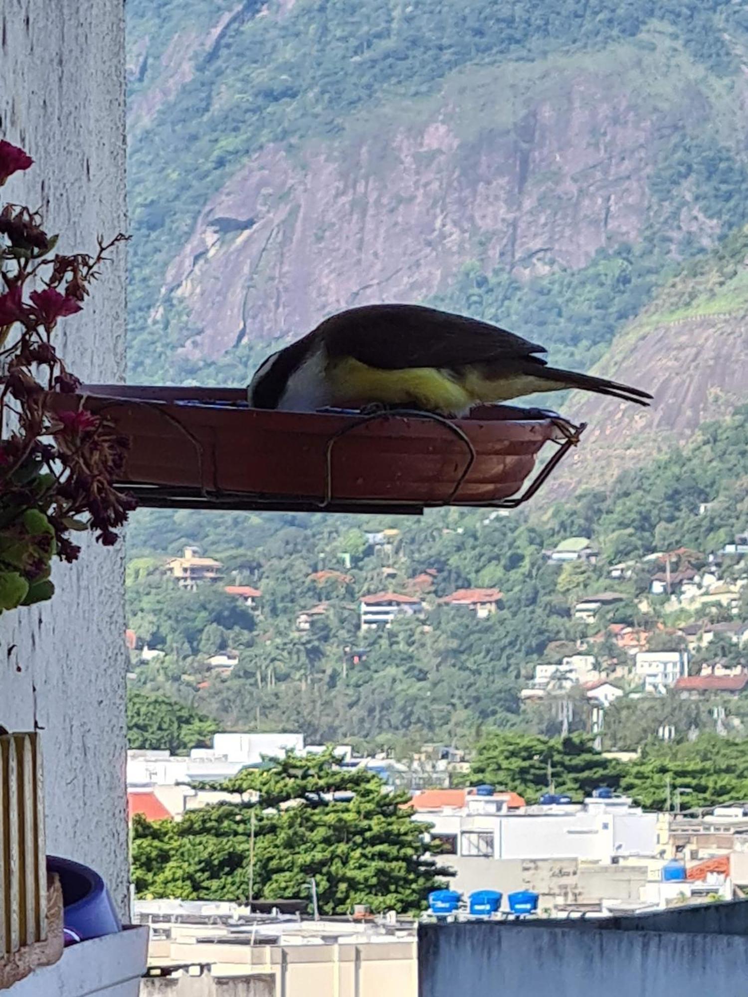 Apto Barra da Tijuca Frente pro Mar Rio de Janeiro Exterior foto
